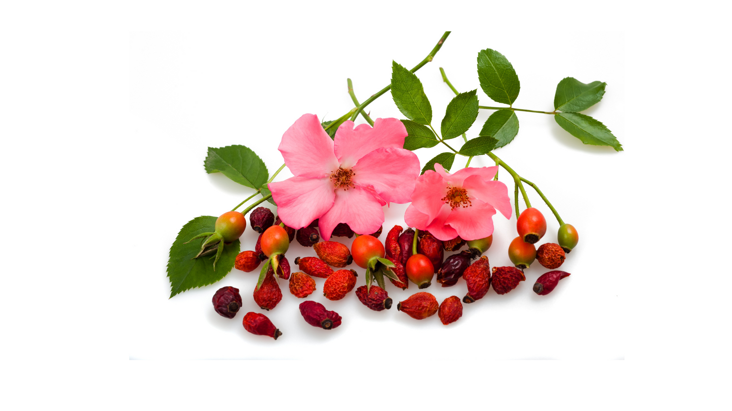 Escaramujo - Rosehip