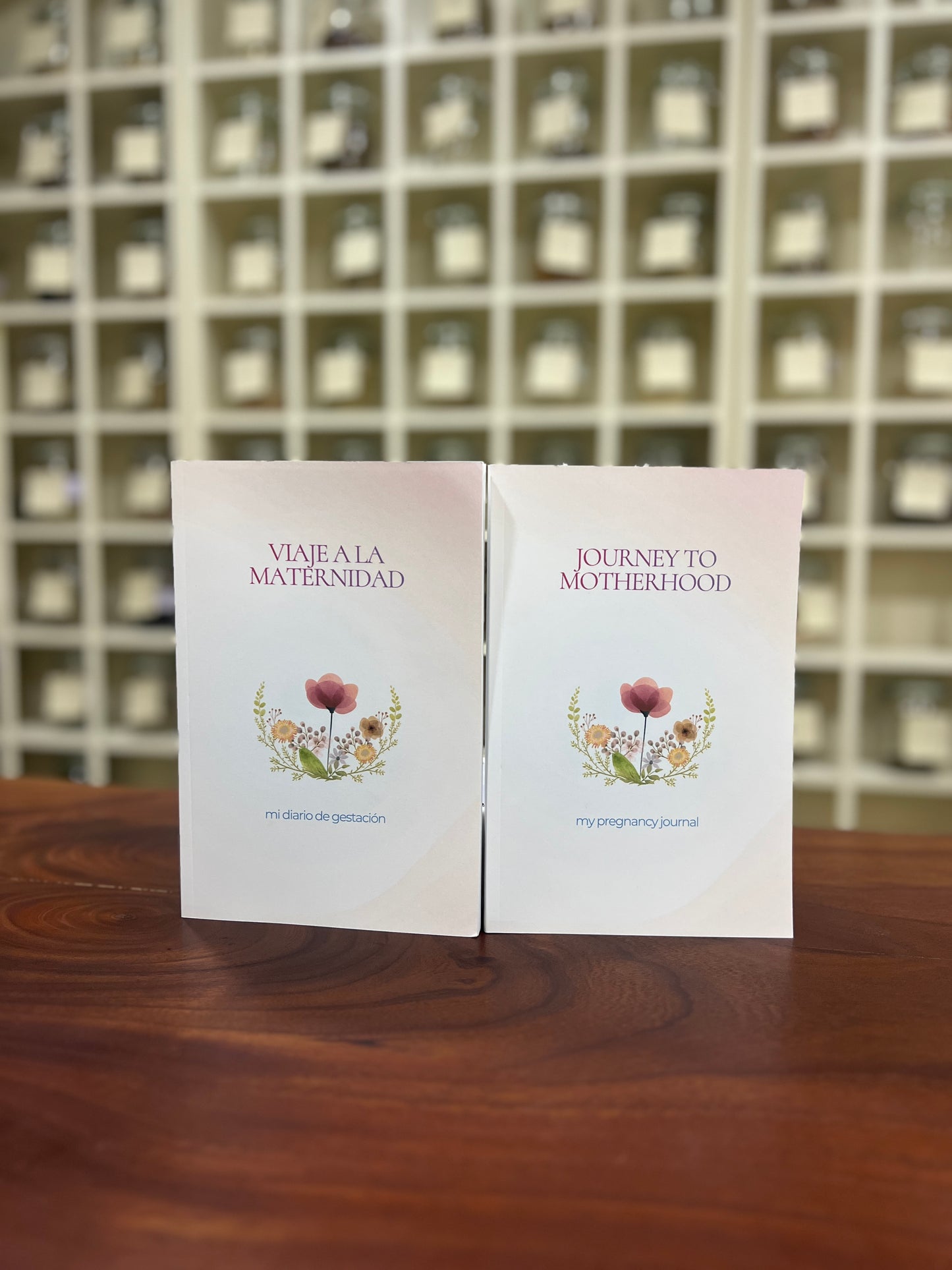 Diario Viaje a la Maternidad / Journey to Motherhood Diary