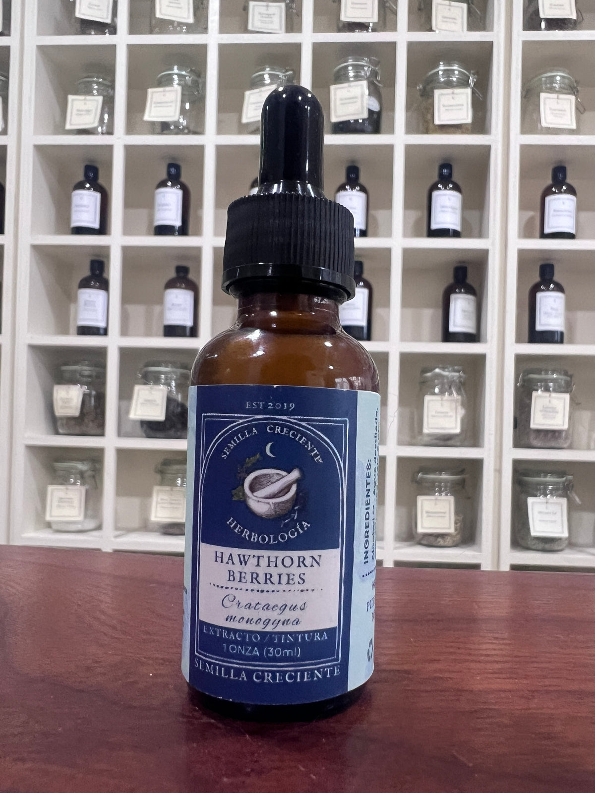 Hawthorn Berry (Espino Blanco) – Tincture