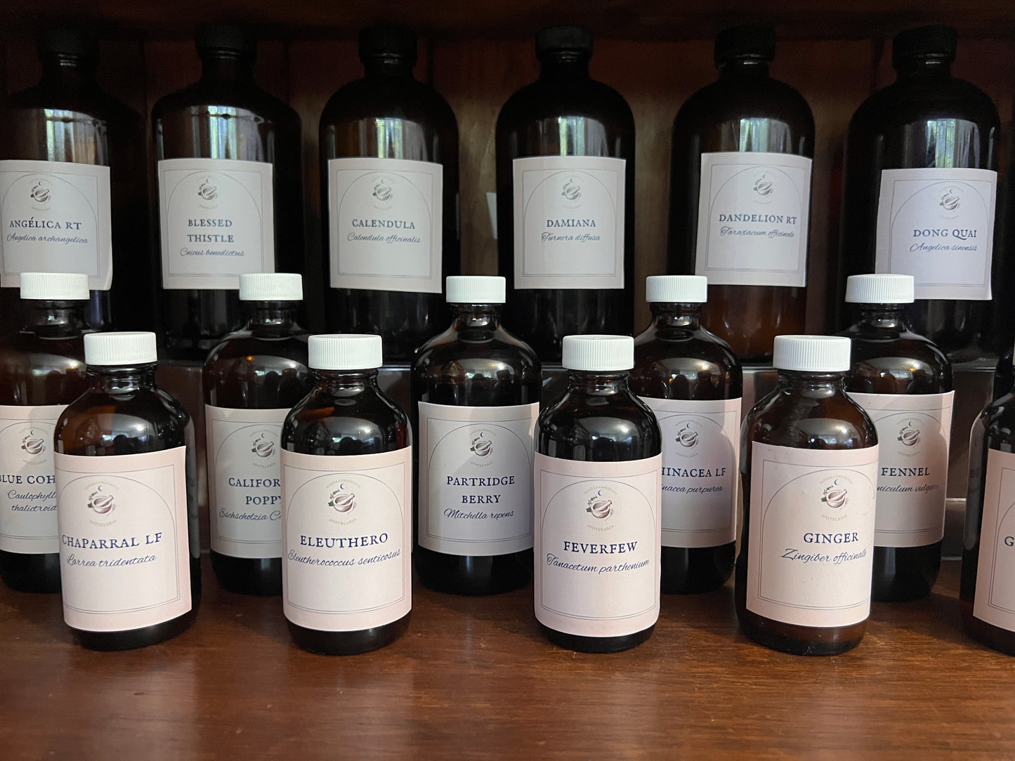 Para consultas clínicas y formulación de preparados botánicos personalizados favor completar el formulario