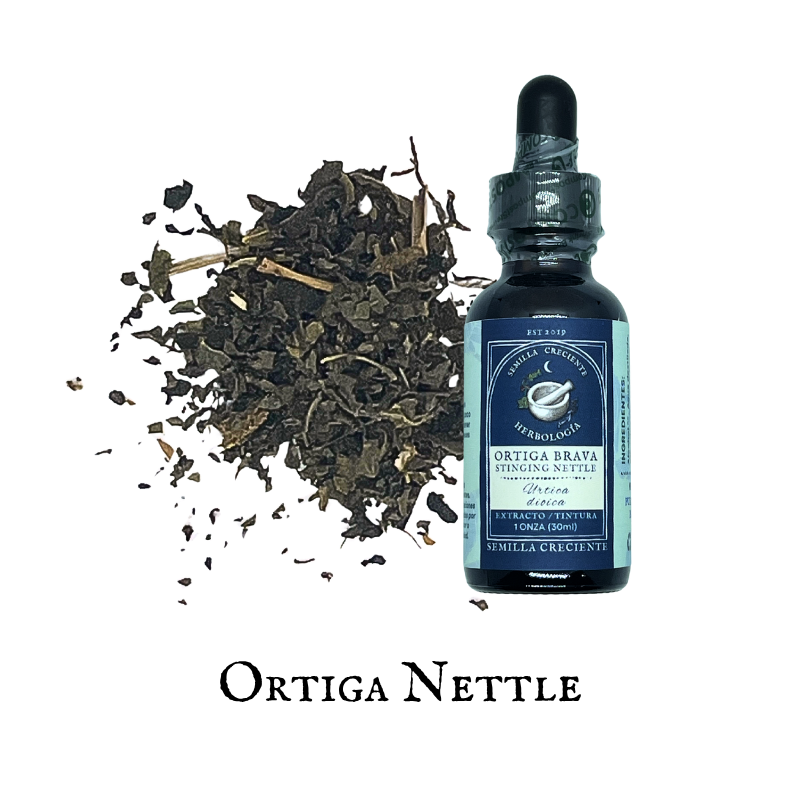 Nettle (Ortiga) – Tincture