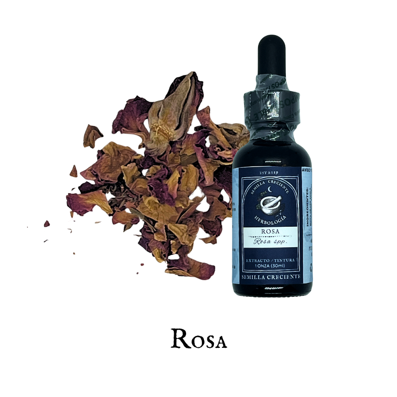 Rose (Rosa) – Tincture