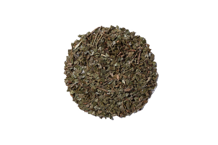 Witch Hazel - Hamamelis