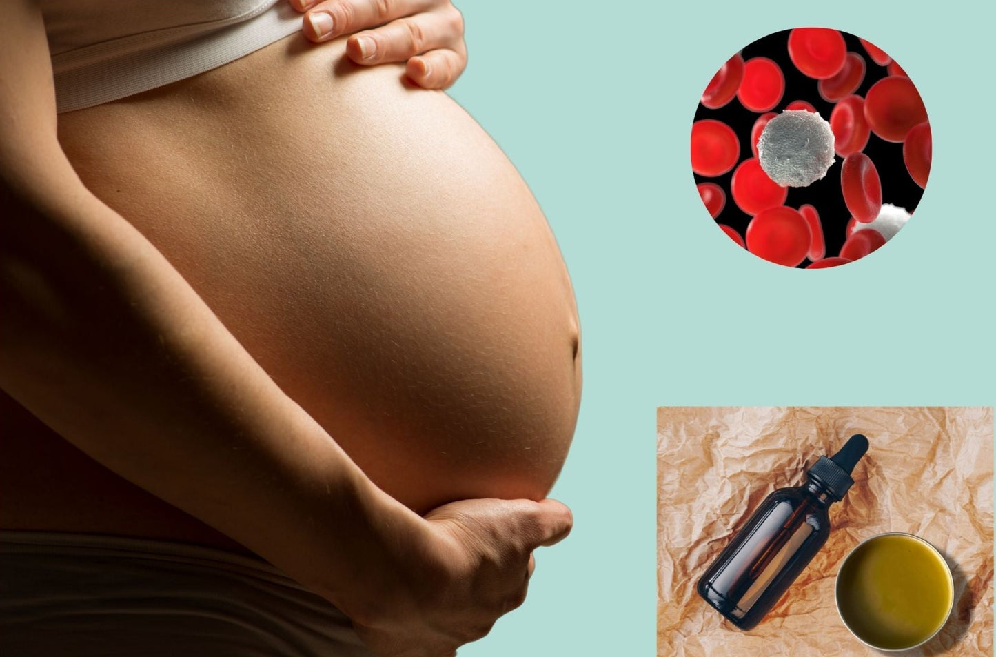 Plaquetas / Platelets