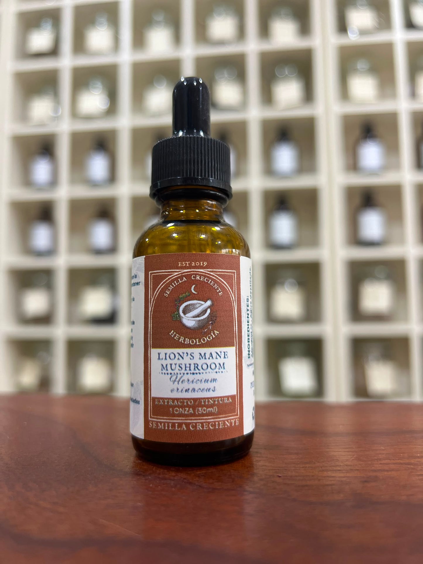 Lion's Mane (Lion's Mane) – Tincture