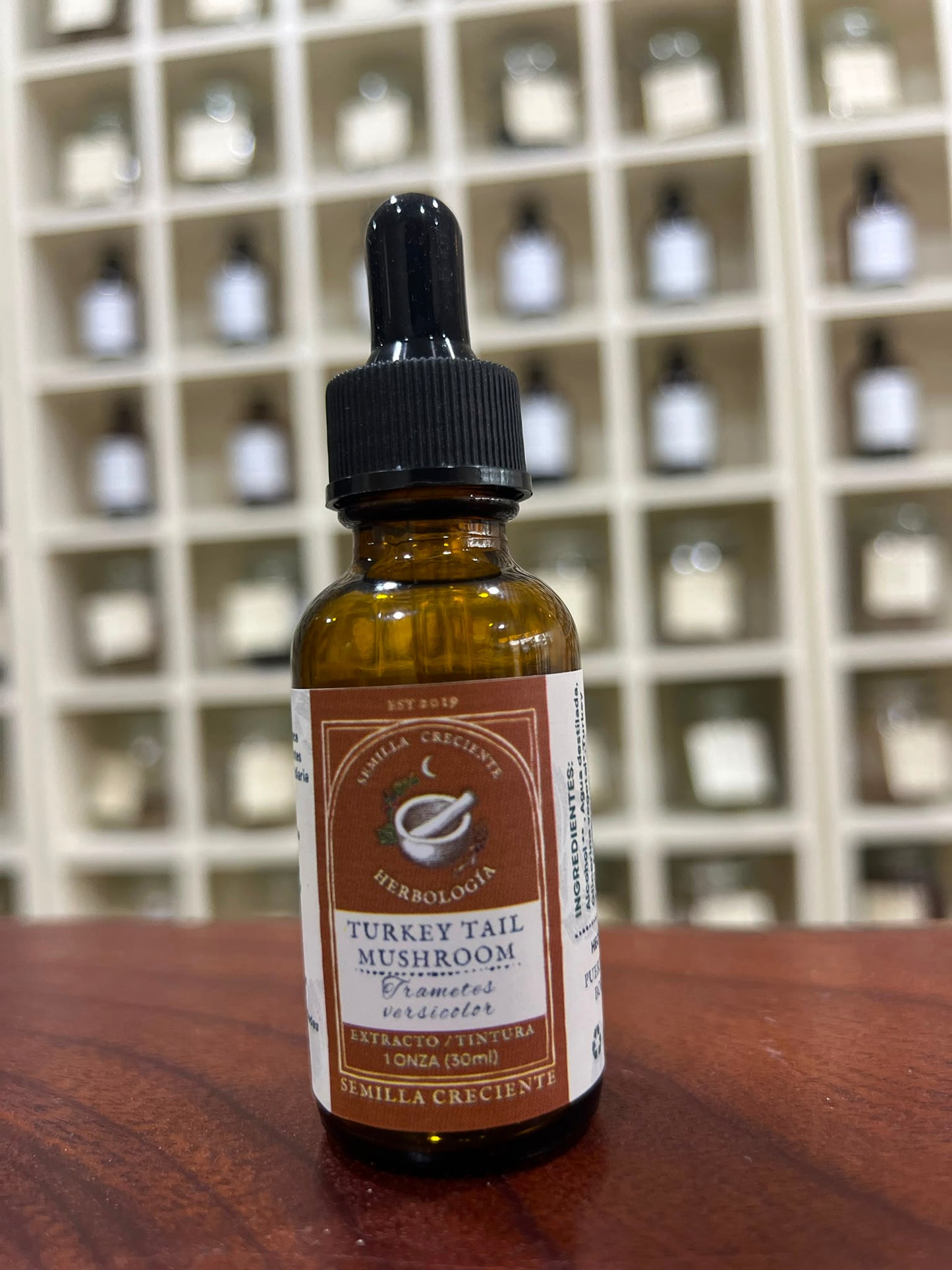 Turkey Tail (Turkey Tail) – Tincture