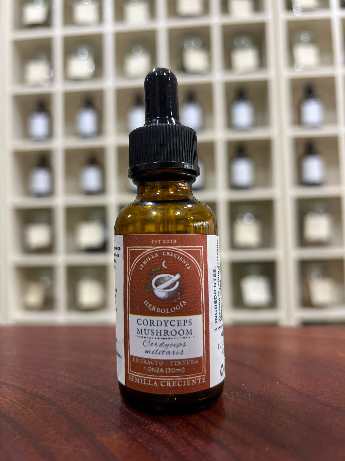 Cordyceps (Cordyceps) – Tincture