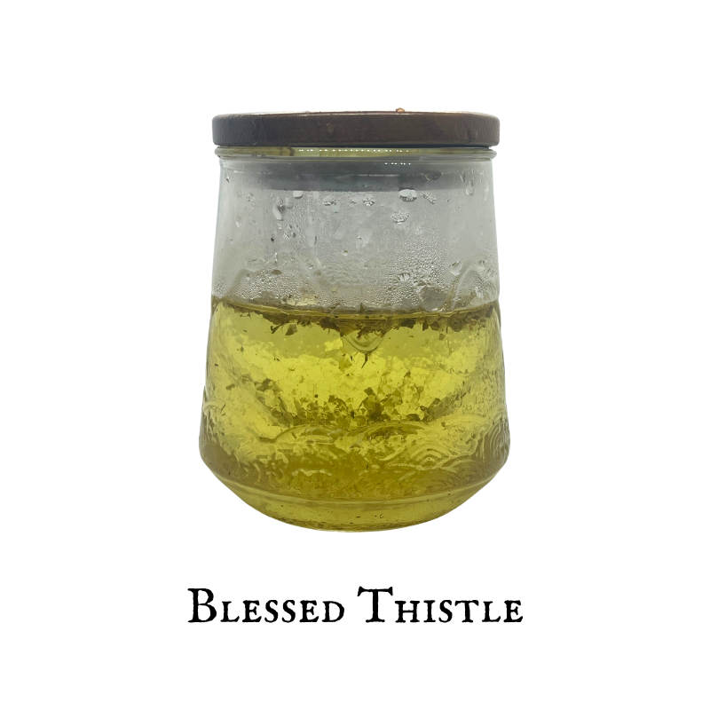 Blessed Thistle (Cardo Santo) Aerial Parts – Dried Herb