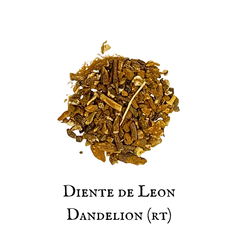 Diente de León (Dandelion) - (Raíz - Root)