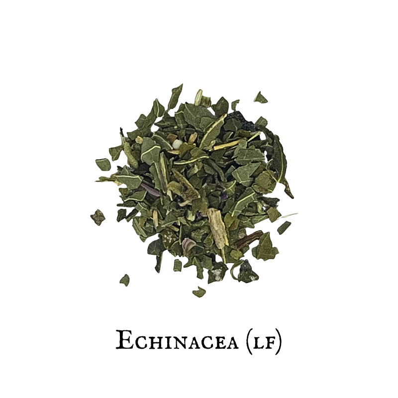 Equinacea - Echinacea (Hoja- Leaf)