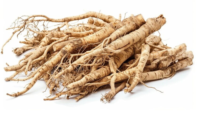 Eleutero - Eleuthero- Eleutherococcus senticosus