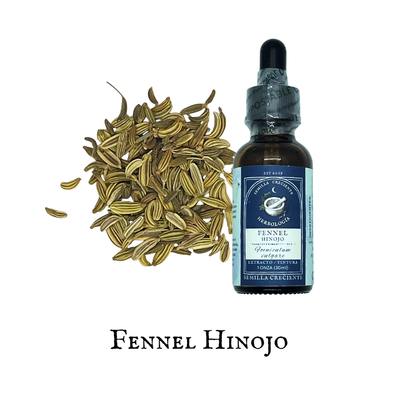 Fennel (Hinojo) – Tincture