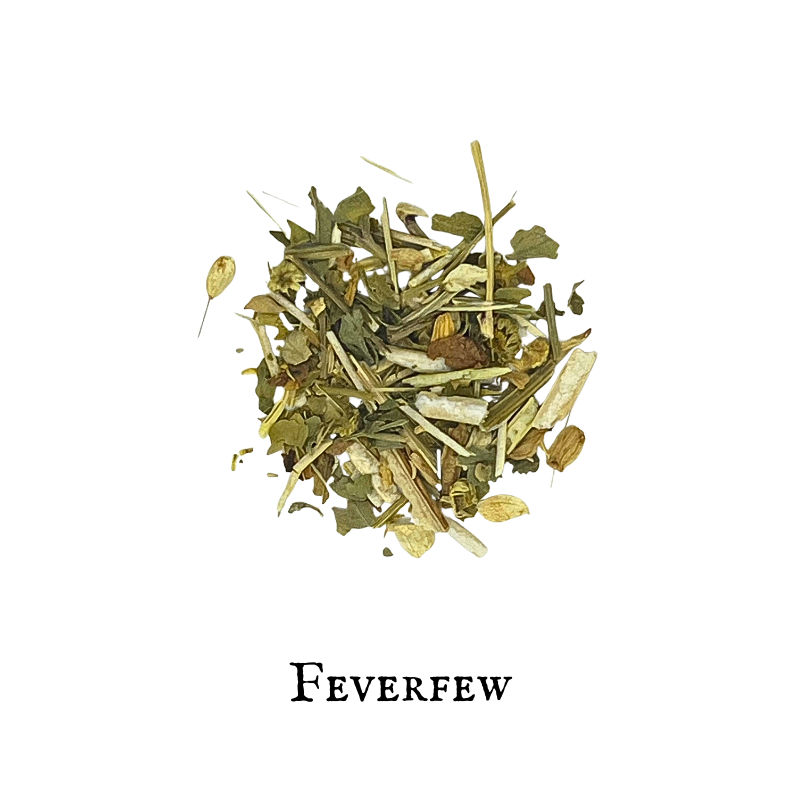 Feverfew (Santa María) – Aerial Parts – Dried Herb