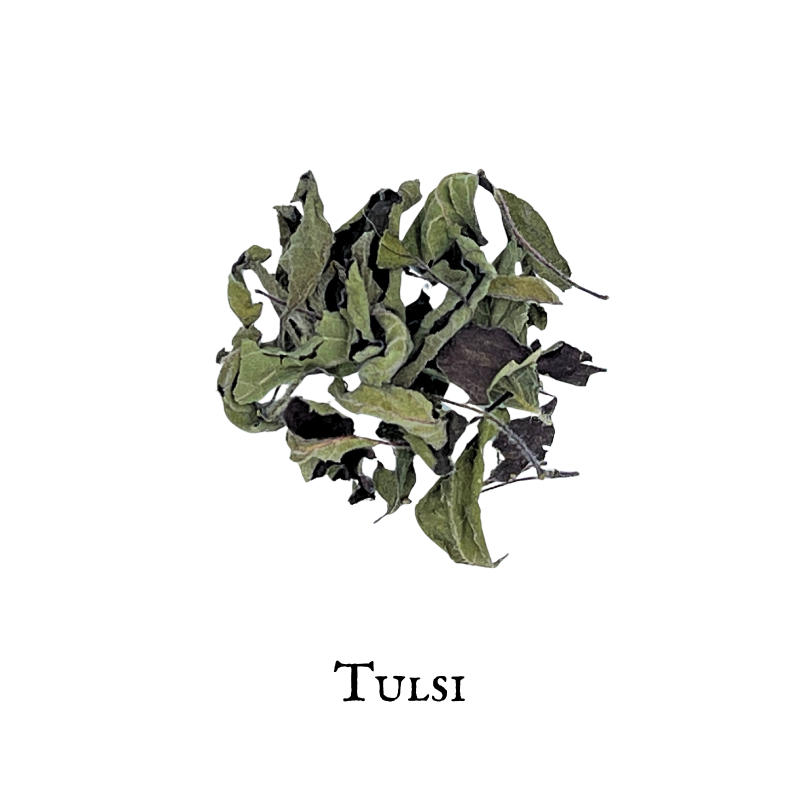 Tulsi Orgánico (Albahaca Sagrada) – Holy Basil