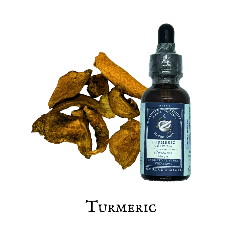 Turmeric (Cúrcuma) – Tincture