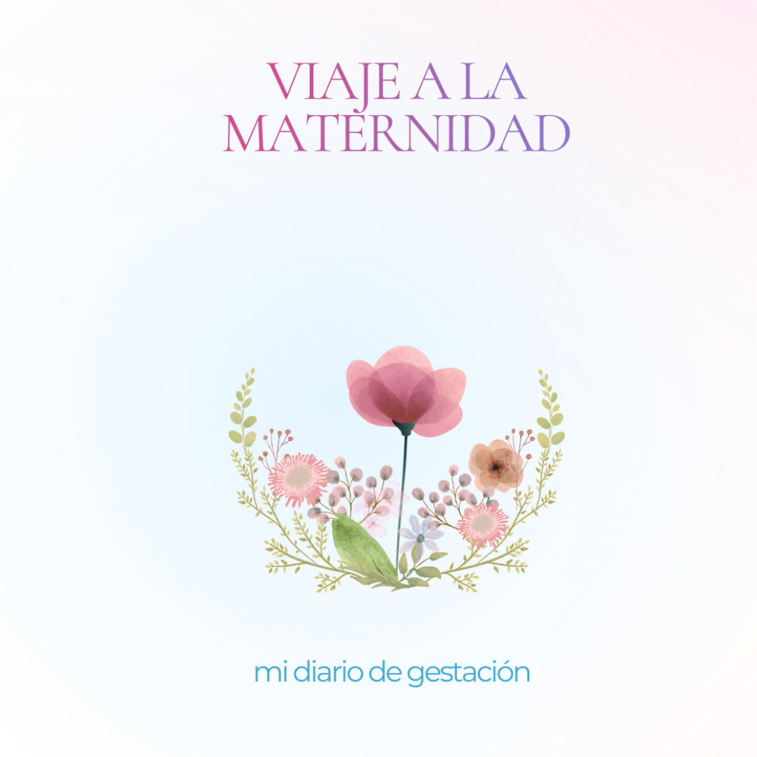 Viaje a la Maternidad: Mi Diario de Gestación: Un Diario Suave y Minimalista para Madres Embarazadas que Quieren Atesorar los Recuerdos de su Gestación