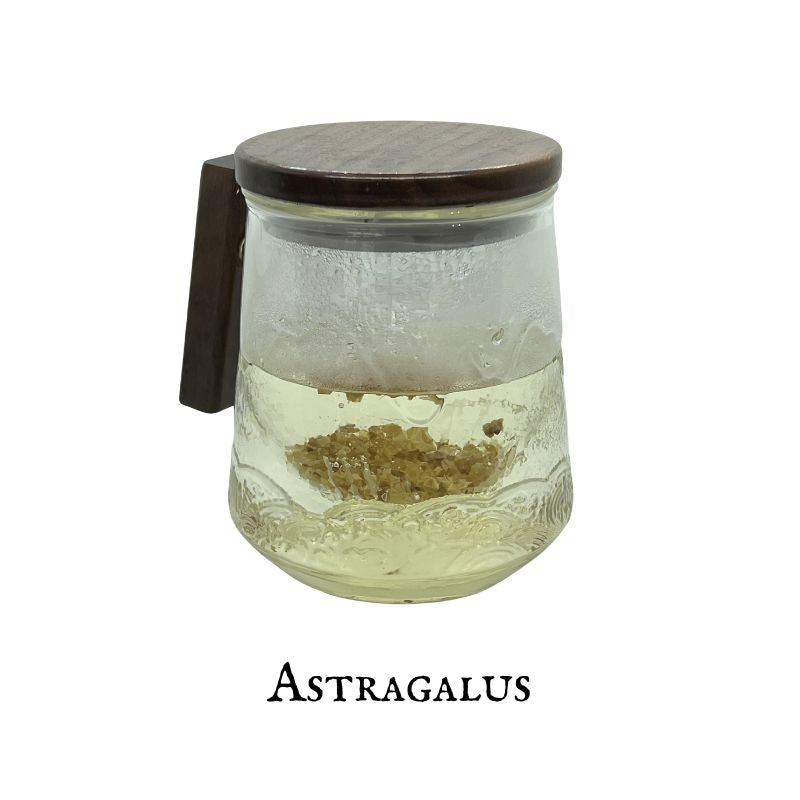 Astragalus (Astrágalo) – Root - Dried Herb
