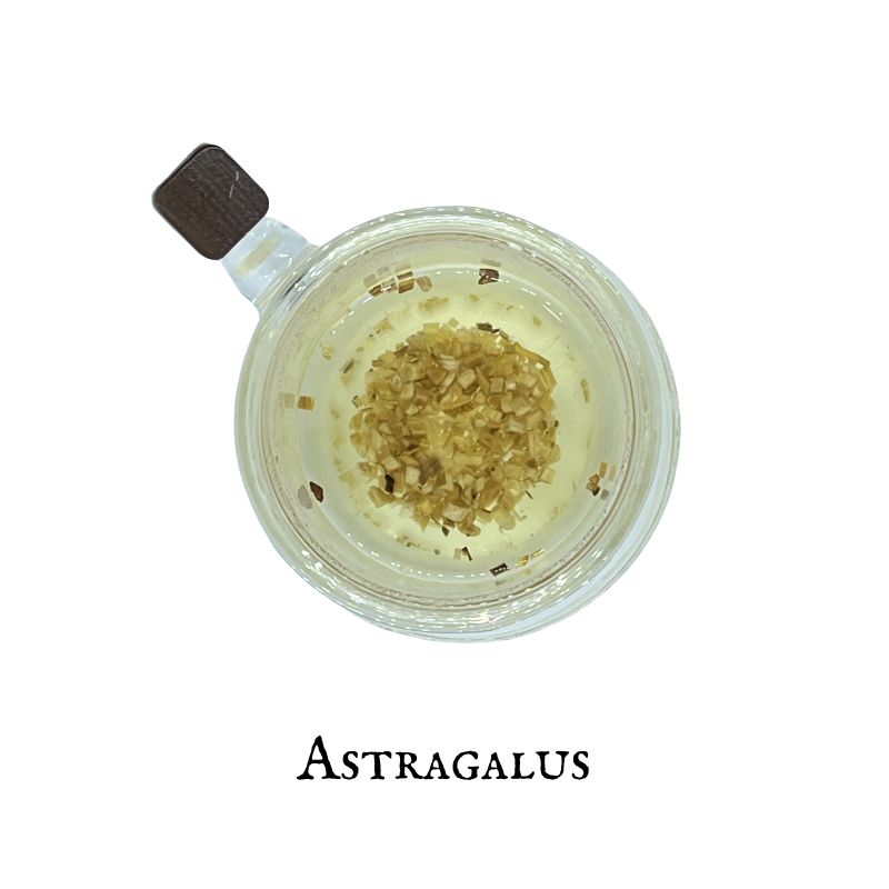 Astragalus (Astrágalo) – Root - Dried Herb