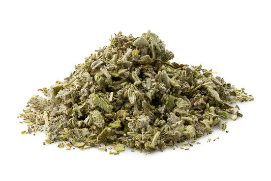 Salvia - Sage