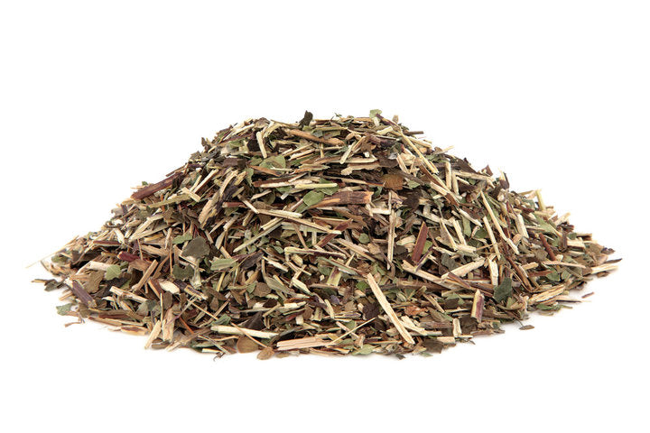 Escutelaria - Skullcap