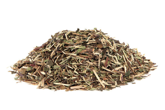 Escutelaria - Skullcap