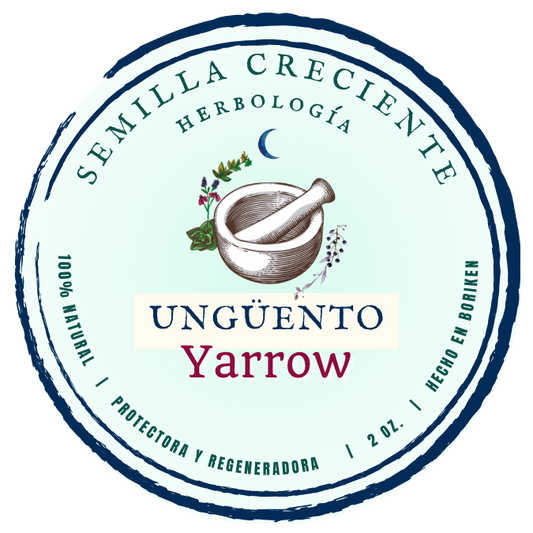 Yarrow (Milenrama) – Ointment
