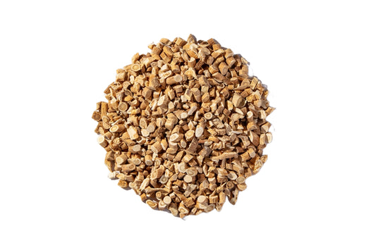 Astragalus