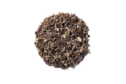 Equinácea - Raíz (Root)