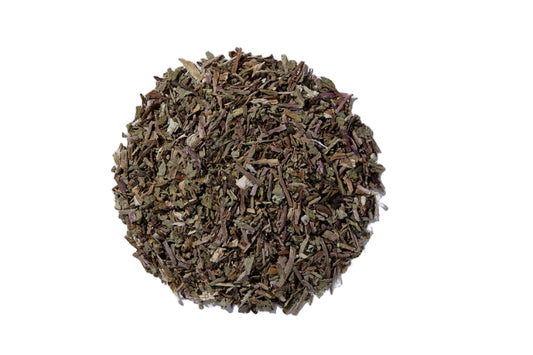 Diente de León (Dandelion) - Hoja (Leaf)