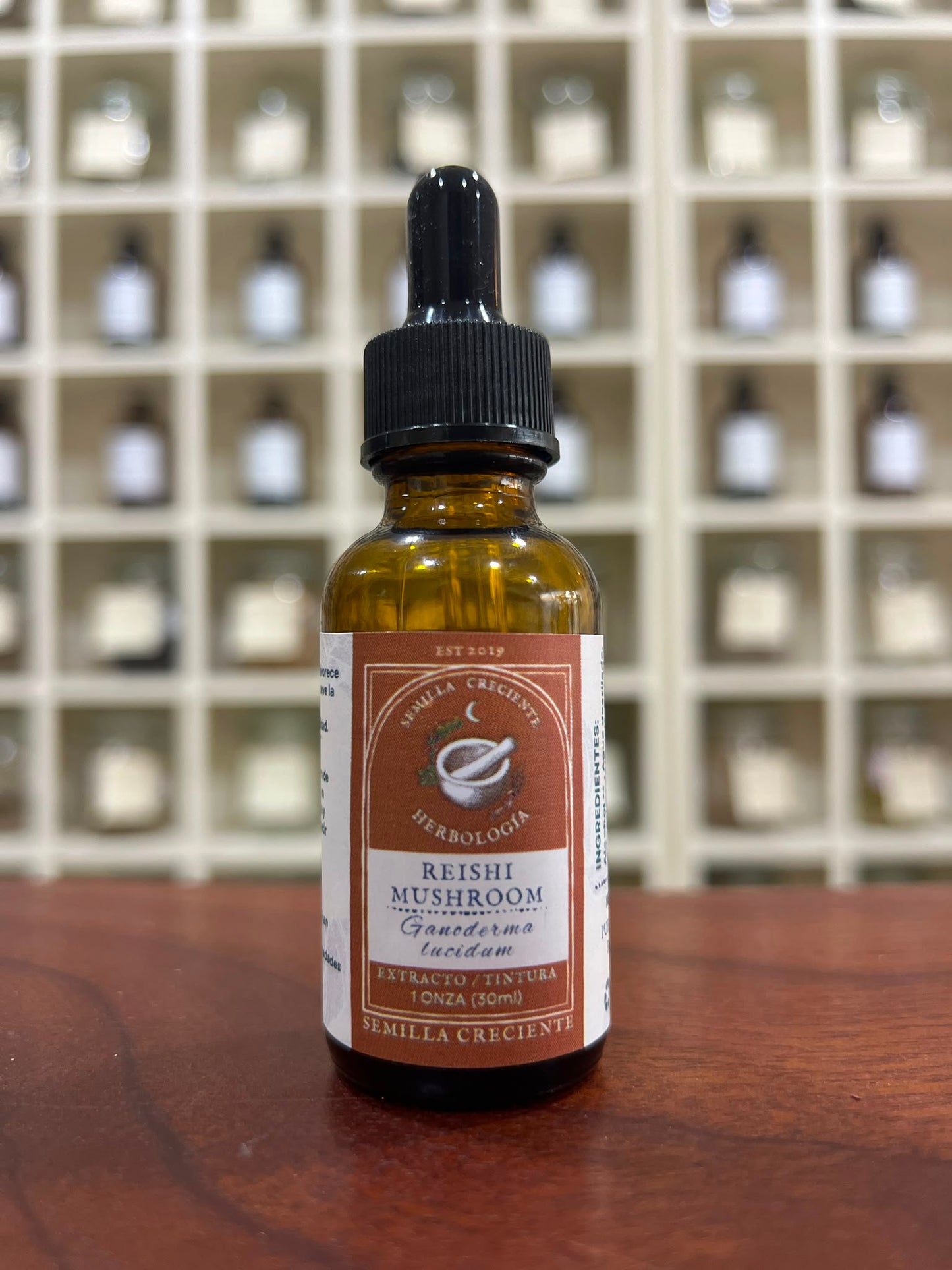 Reishi (Reishi) – Tincture