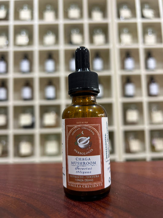 Chaga (Chaga) – Tincture