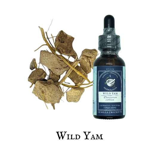 Wild Yam (Ñame Silvestre) – Tincture