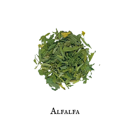 Alfalfa (Alfalfa) – Leaf – Dried Herb