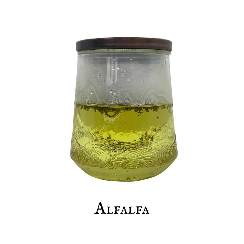 Alfalfa (Alfalfa) – Leaf – Dried Herb