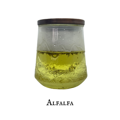 Alfalfa (Alfalfa) – Leaf – Dried Herb