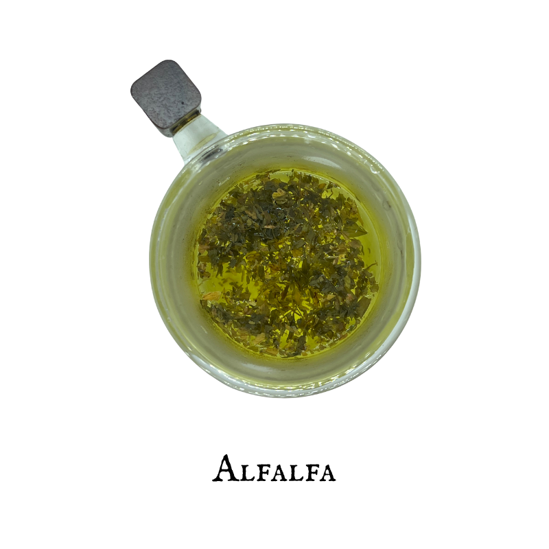 Alfalfa (Alfalfa) – Leaf – Dried Herb