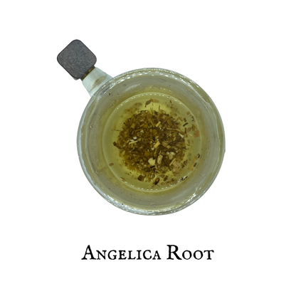 Angelica (Angélica) – Dried Herb