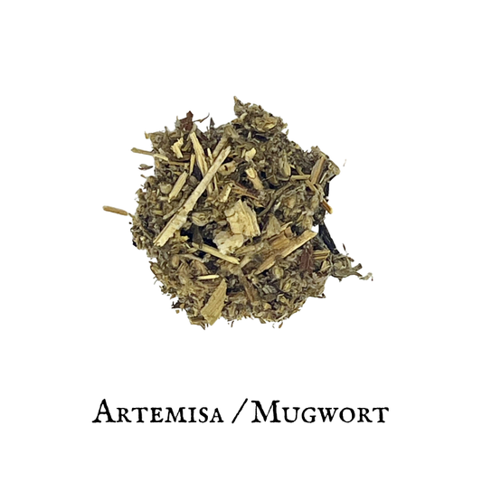 Mugwort (Artemisa) – Leaf – Dried Herb