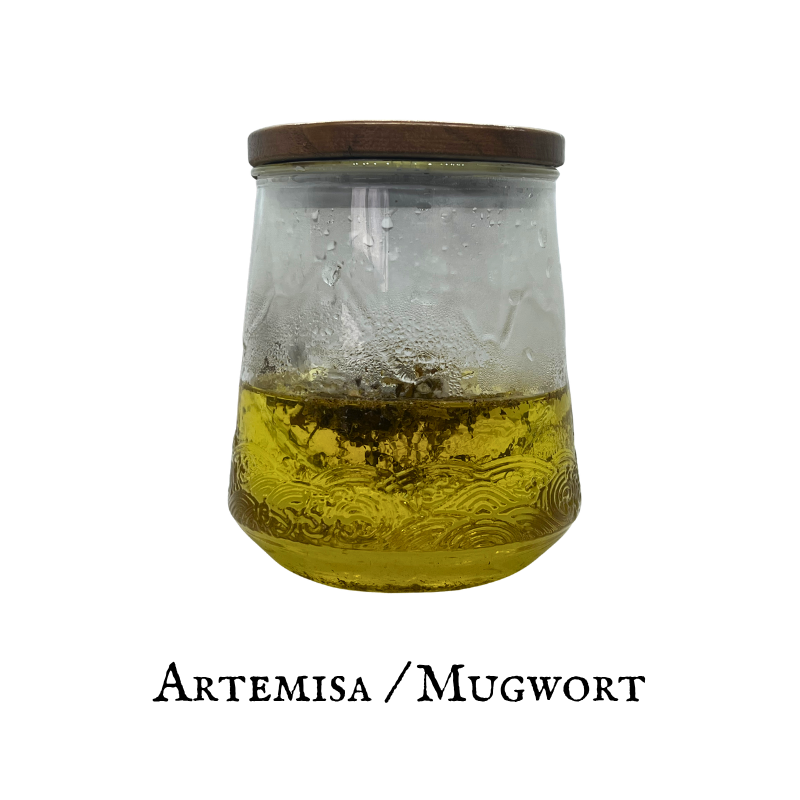 Mugwort (Artemisa) – Leaf – Dried Herb