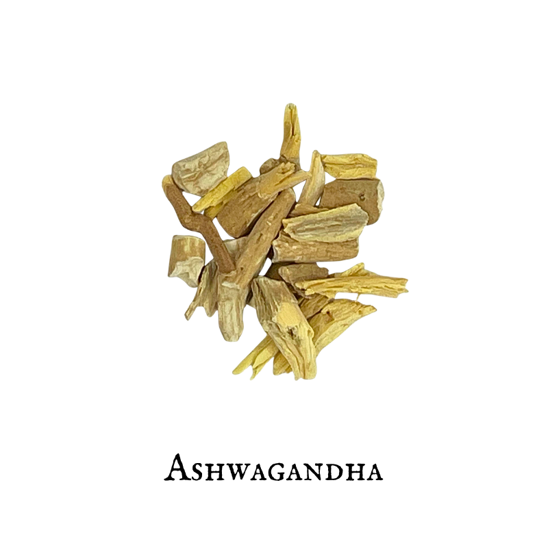 Ashwagandha (Ashwagandha) – Raíz