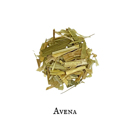 Oatstraw (Avena) – Aerial Parts – Dried Herb