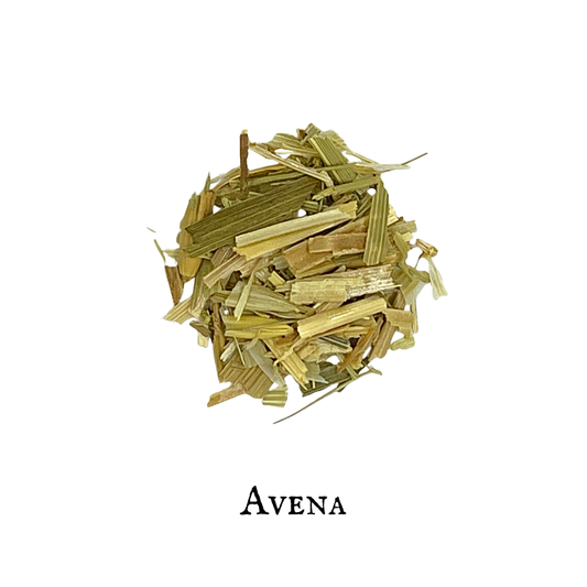 Avena (Oatstraw) – Hojas y tallos