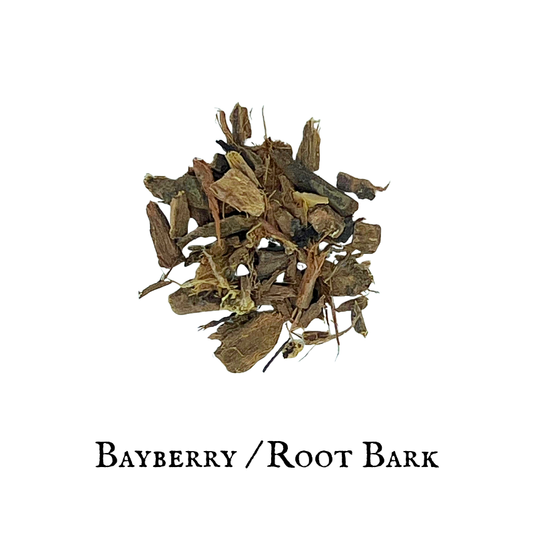 Bayberry Root Bark (Morella cerífera)