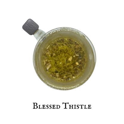 Blessed Thistle (Cardo Santo) Aerial Parts – Dried Herb