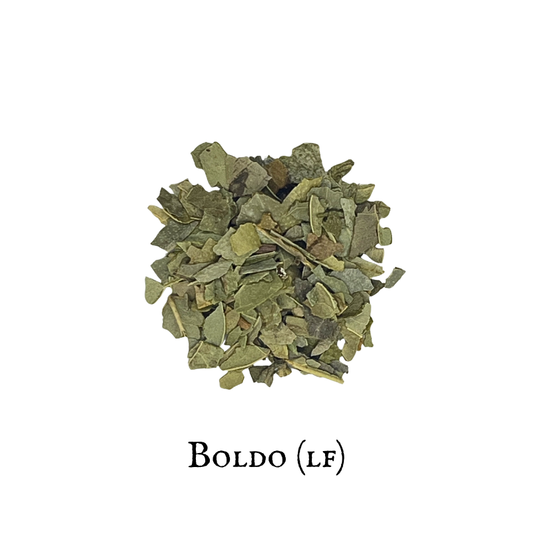 Boldo (Boldo) – Leaf – Dried Herb