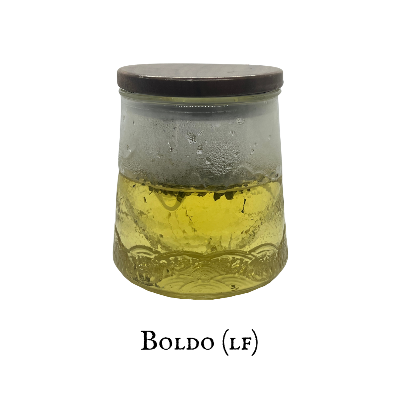 Boldo (Boldo) – Leaf – Dried Herb
