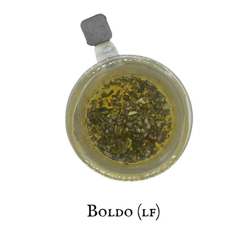 Boldo (Boldo) – Leaf – Dried Herb