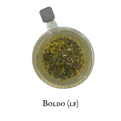 Boldo (Boldo) – Leaf – Dried Herb