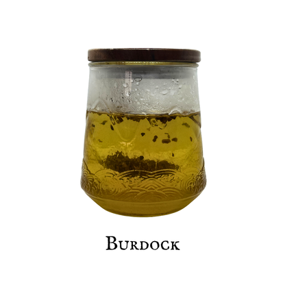 Burdock (Bardana) – Root – Dried Herb