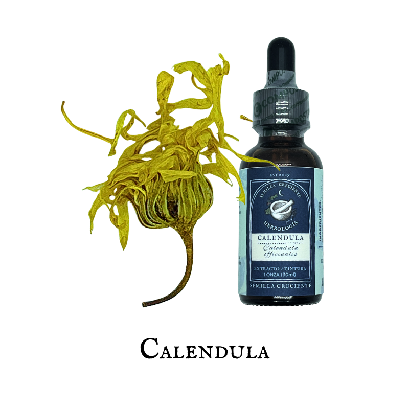 Calendula (Caléndula) – Tincture